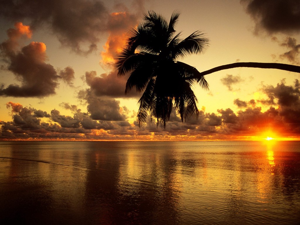Atardecer perfecto