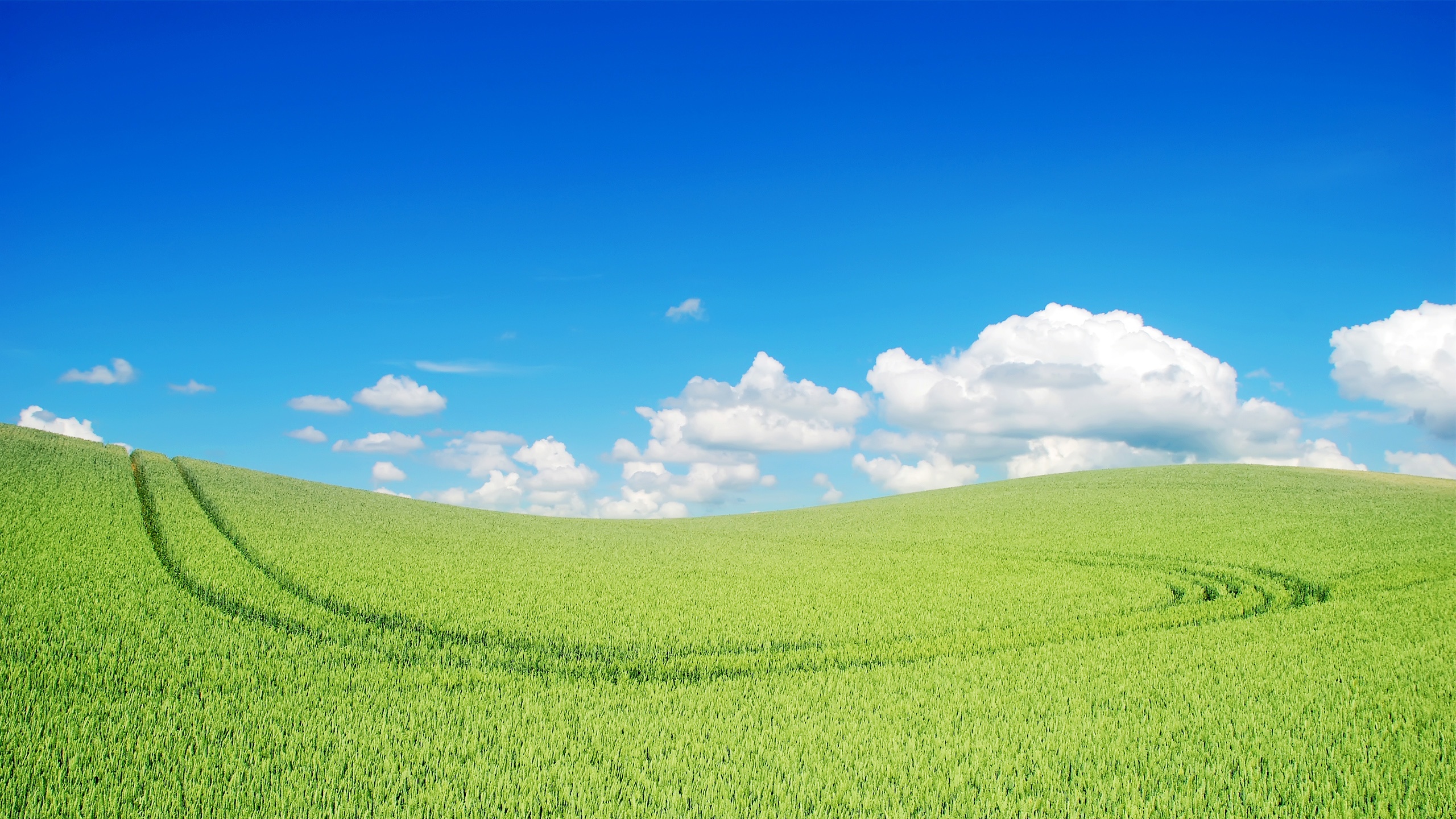 Beautiful green landscape