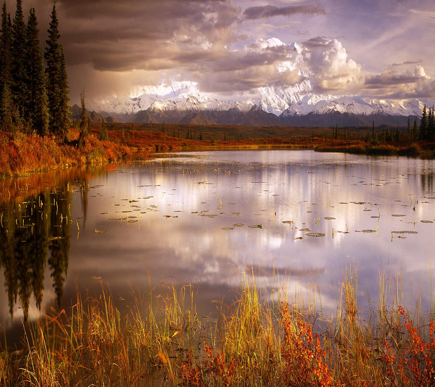 Beautiful Nature