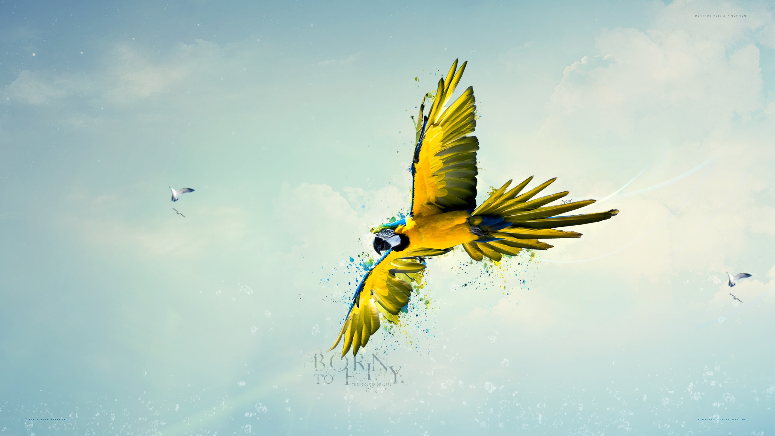 Born to fly