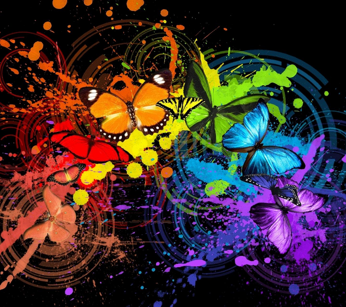 Butterflies 1