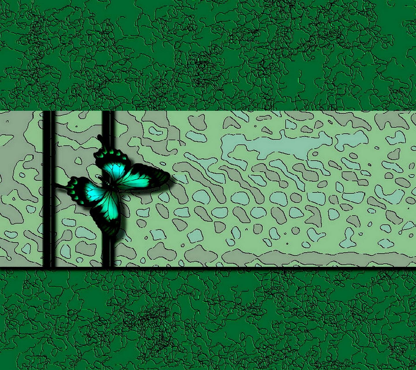 Butterfly 4