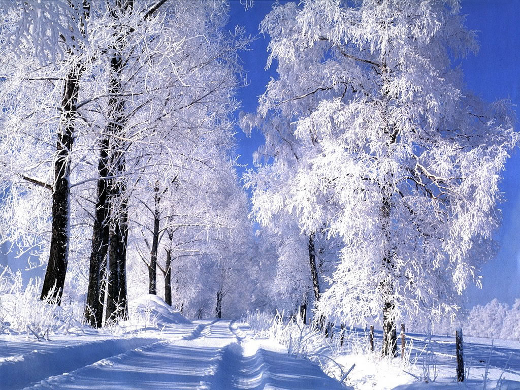 Camino de nieve