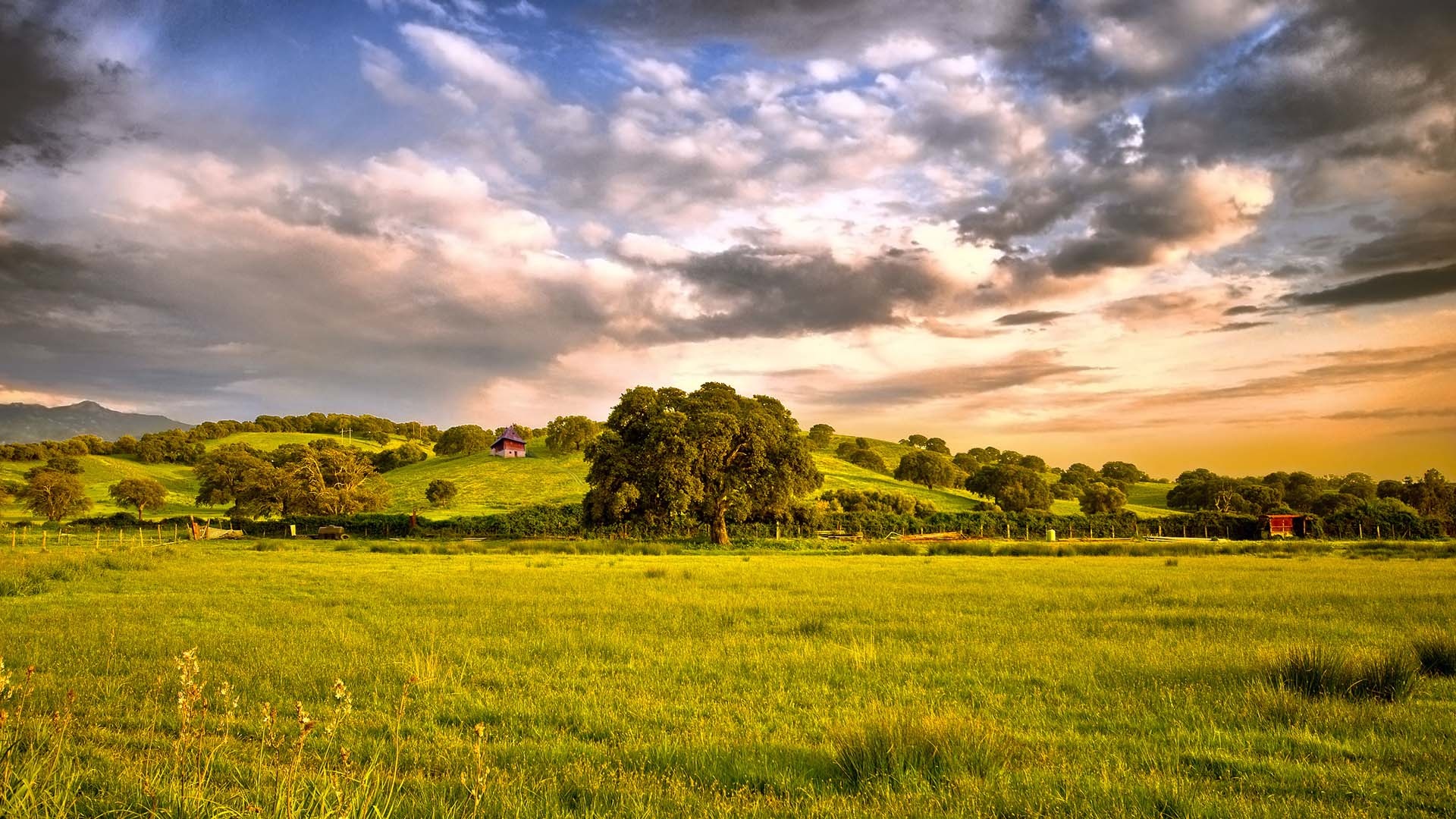Campo con colinas