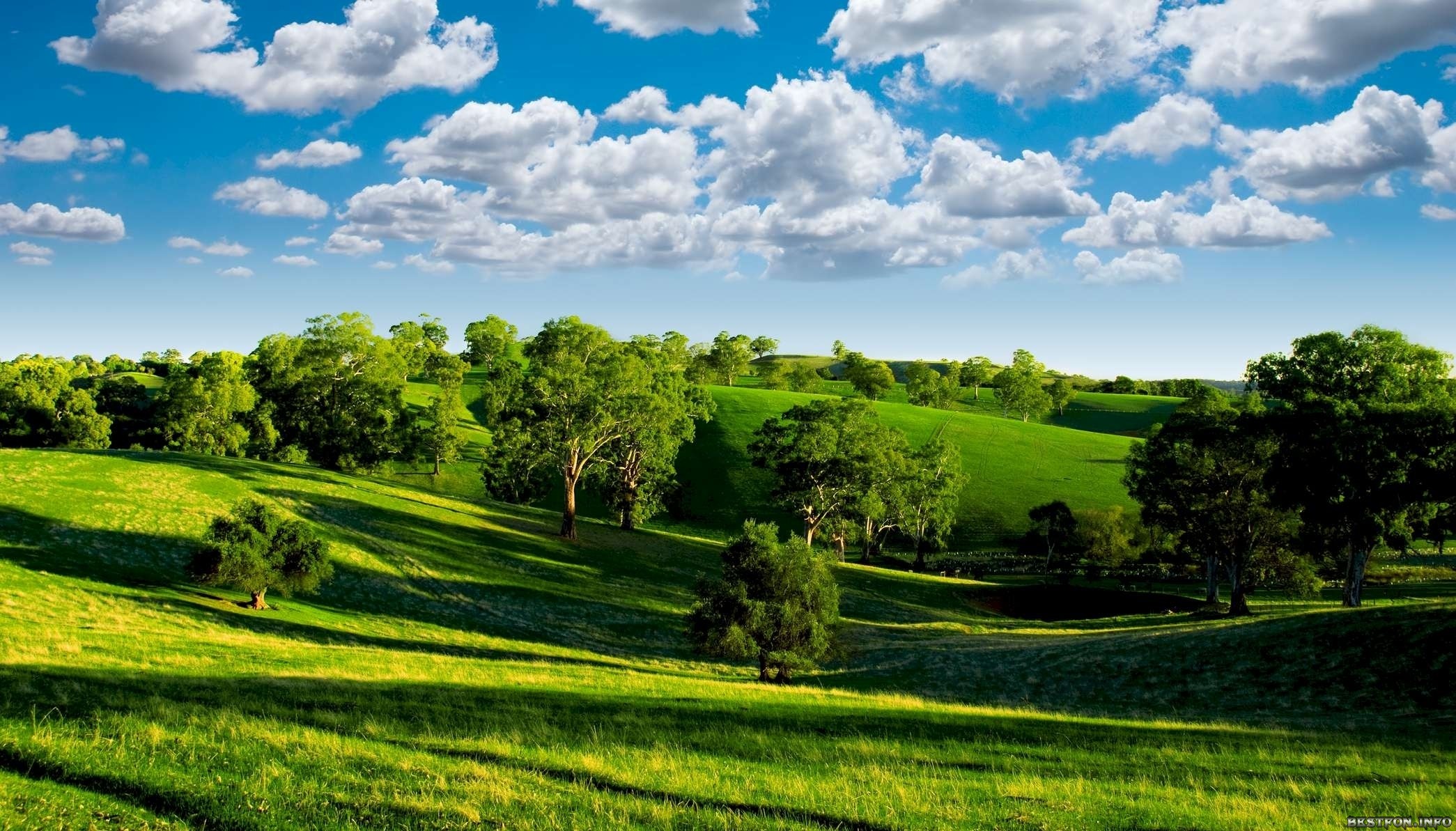 Campo verde