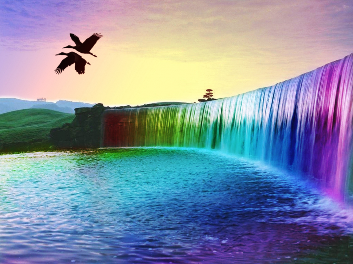 Cascada multicolor