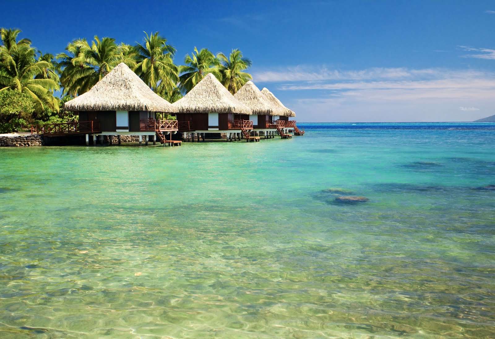 Chozas en playas tropicales
