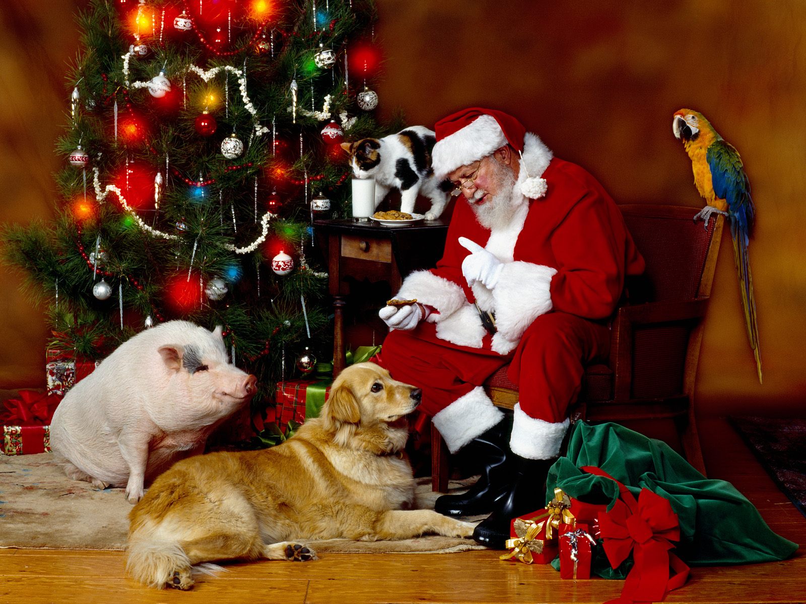 Christmas Santa Claus