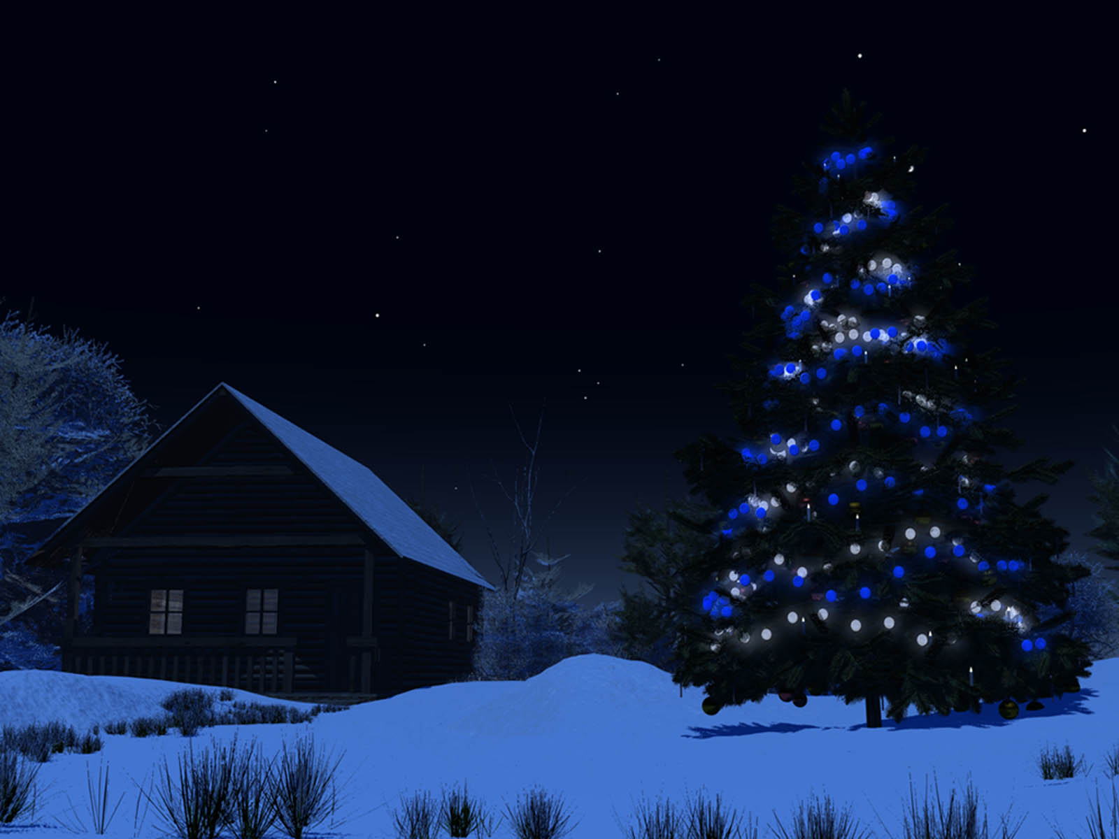 Christmas Tree Decoration