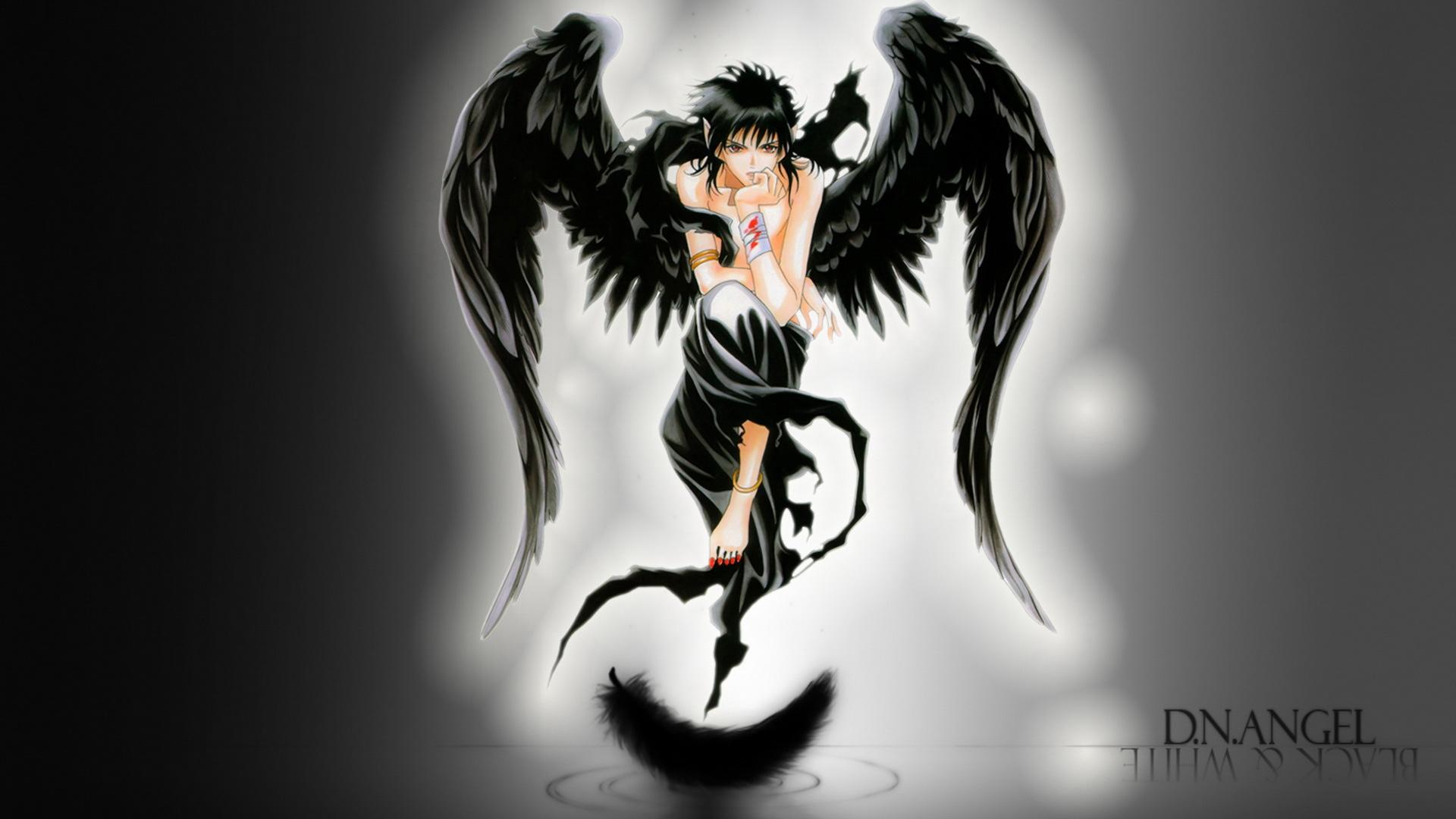 D. N. Angel