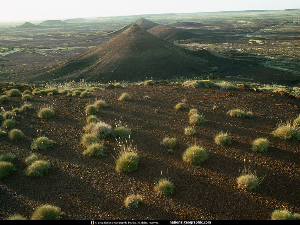 Desierto único