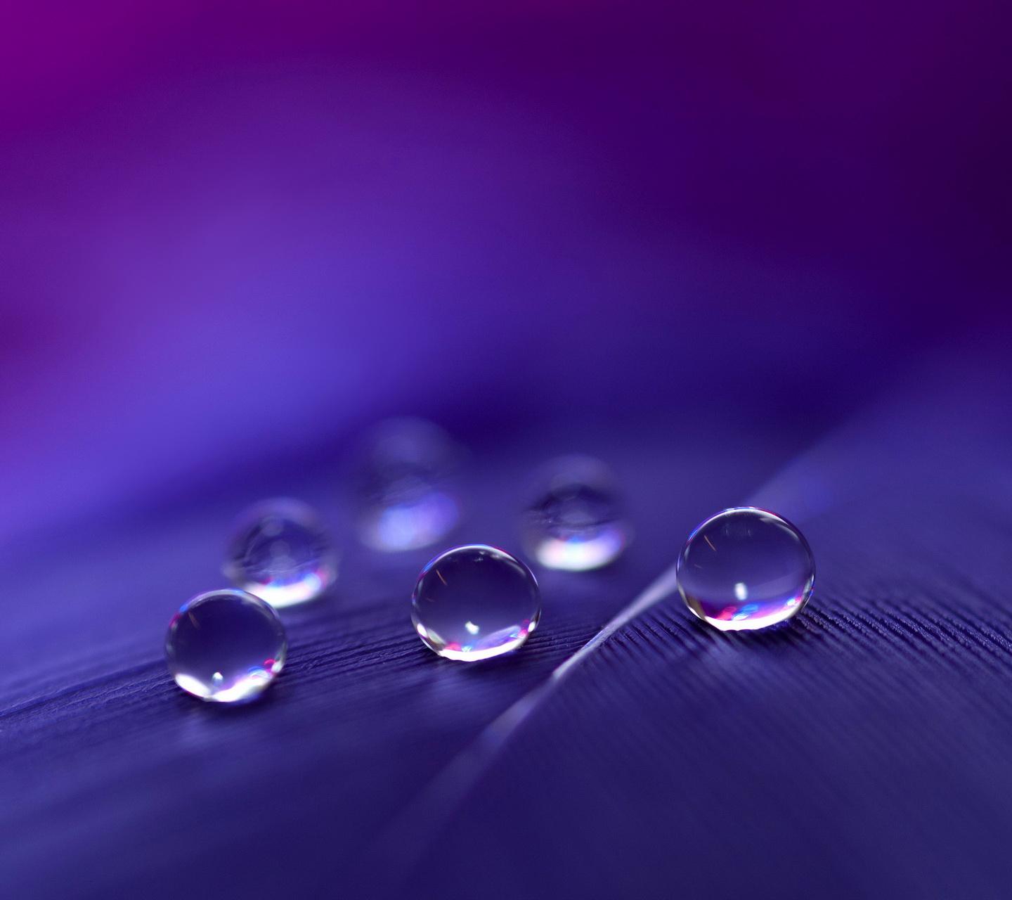 Drops 1