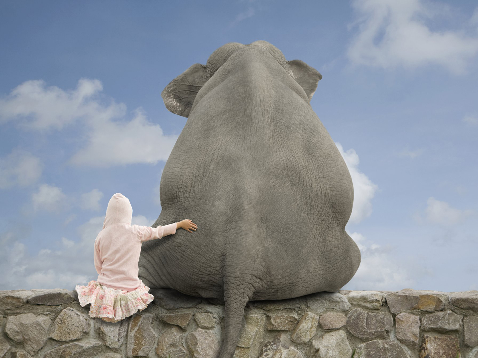 Elefante sentado