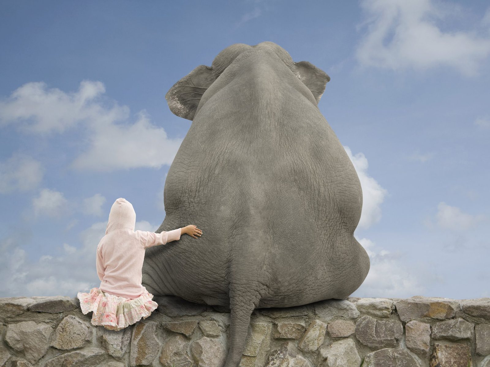 Elefante sentado