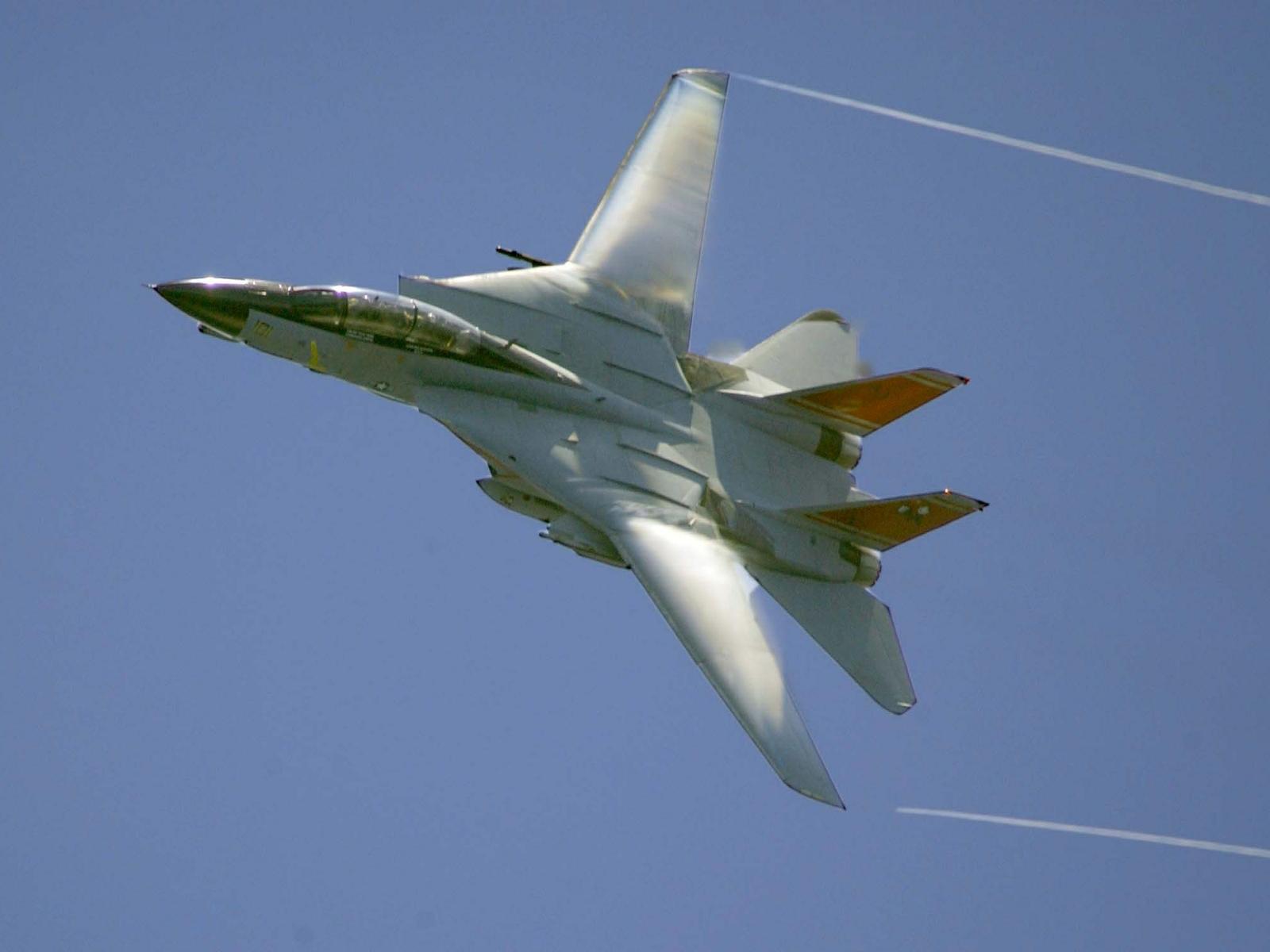 F 14 Tomcat 2
