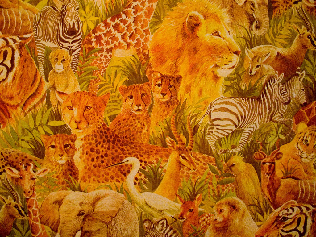 Fauna africana en alta calidad: wallpaper 4K vibrante