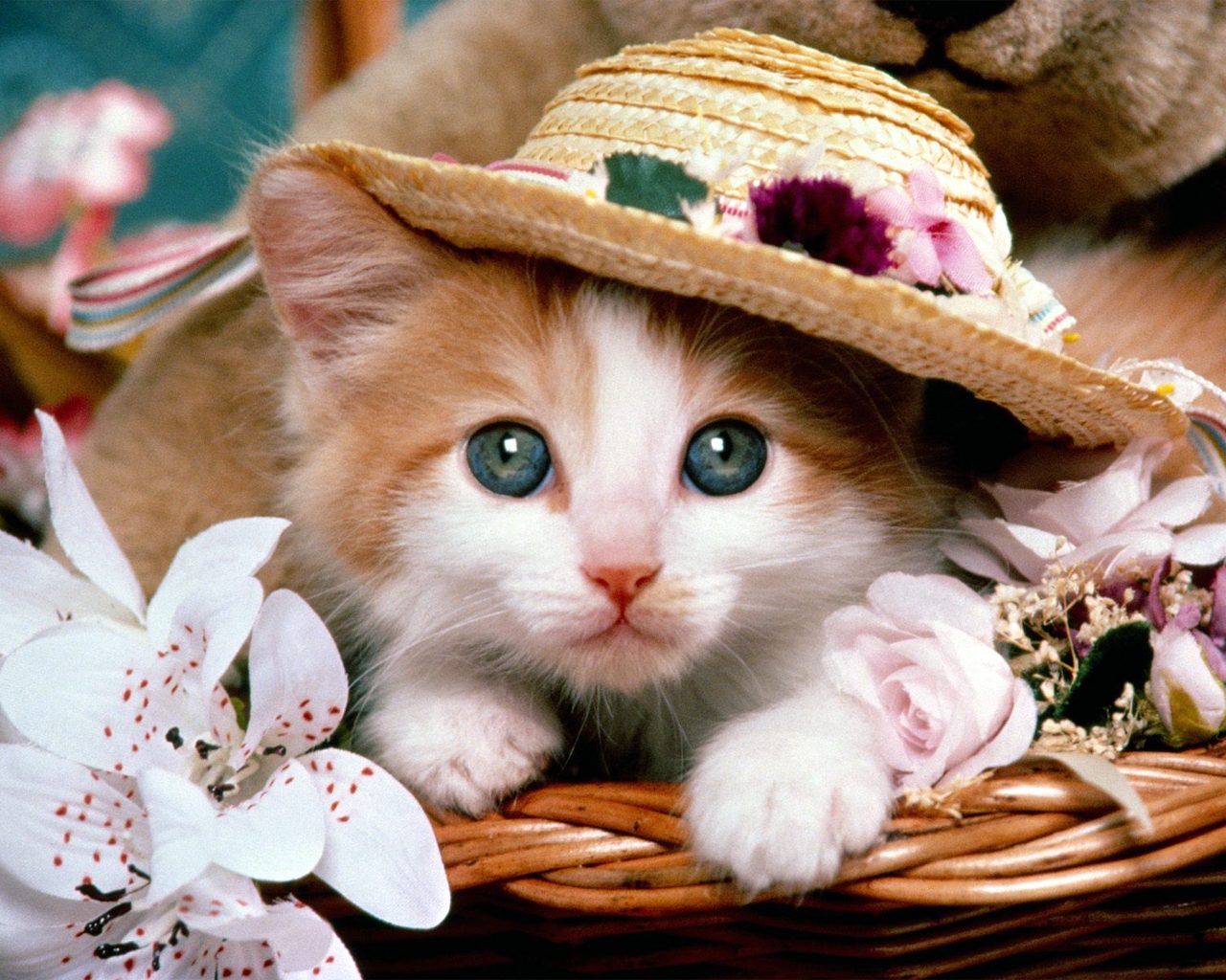 Adorable gatito en cesta floral - Fondo 4K alta calidad
