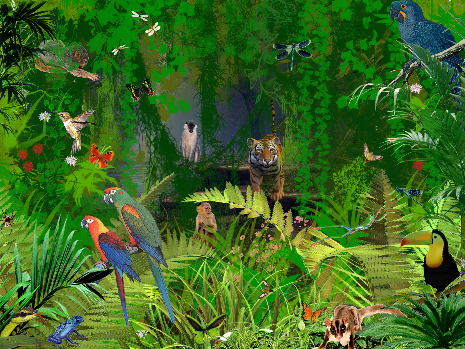 Fondo de pantalla jungla