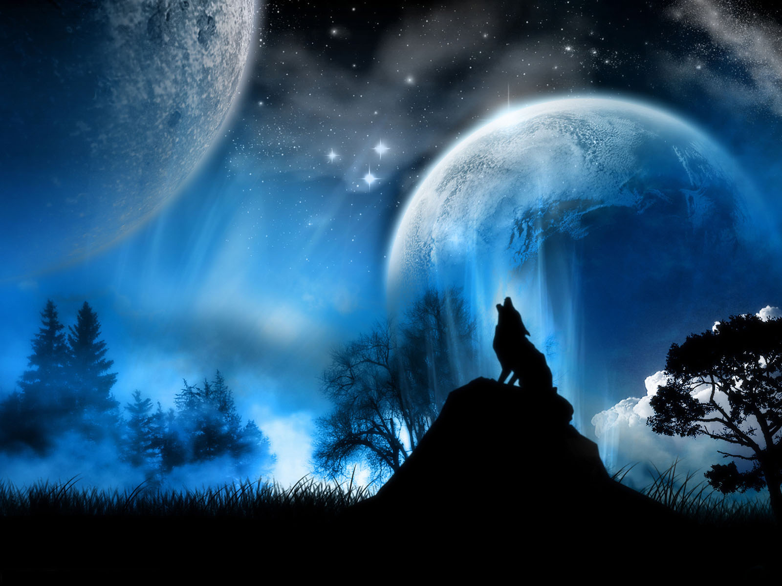 Fondo de pantalla lobo en luna llena
