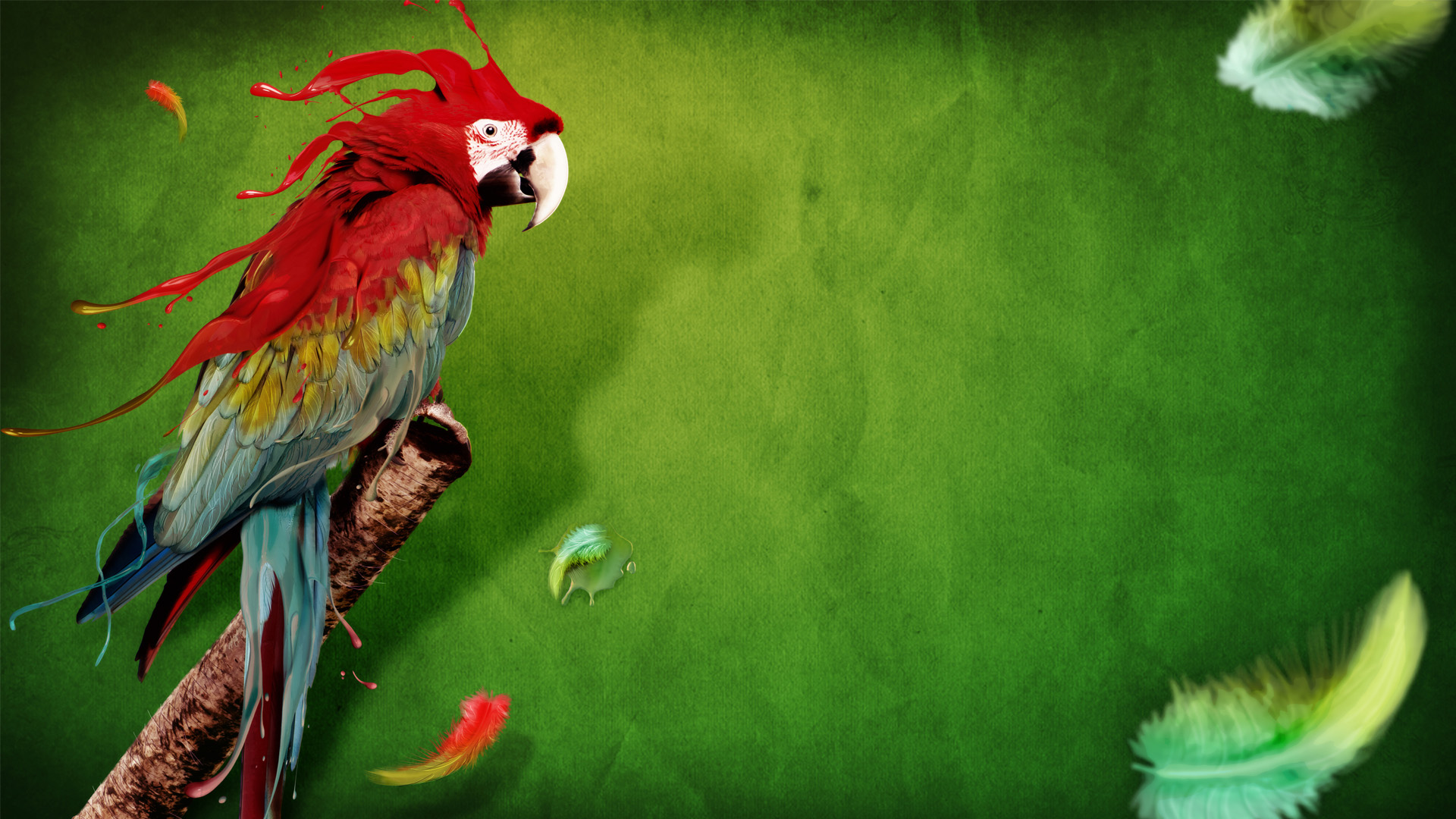 Fondo de pantalla loro en pintura