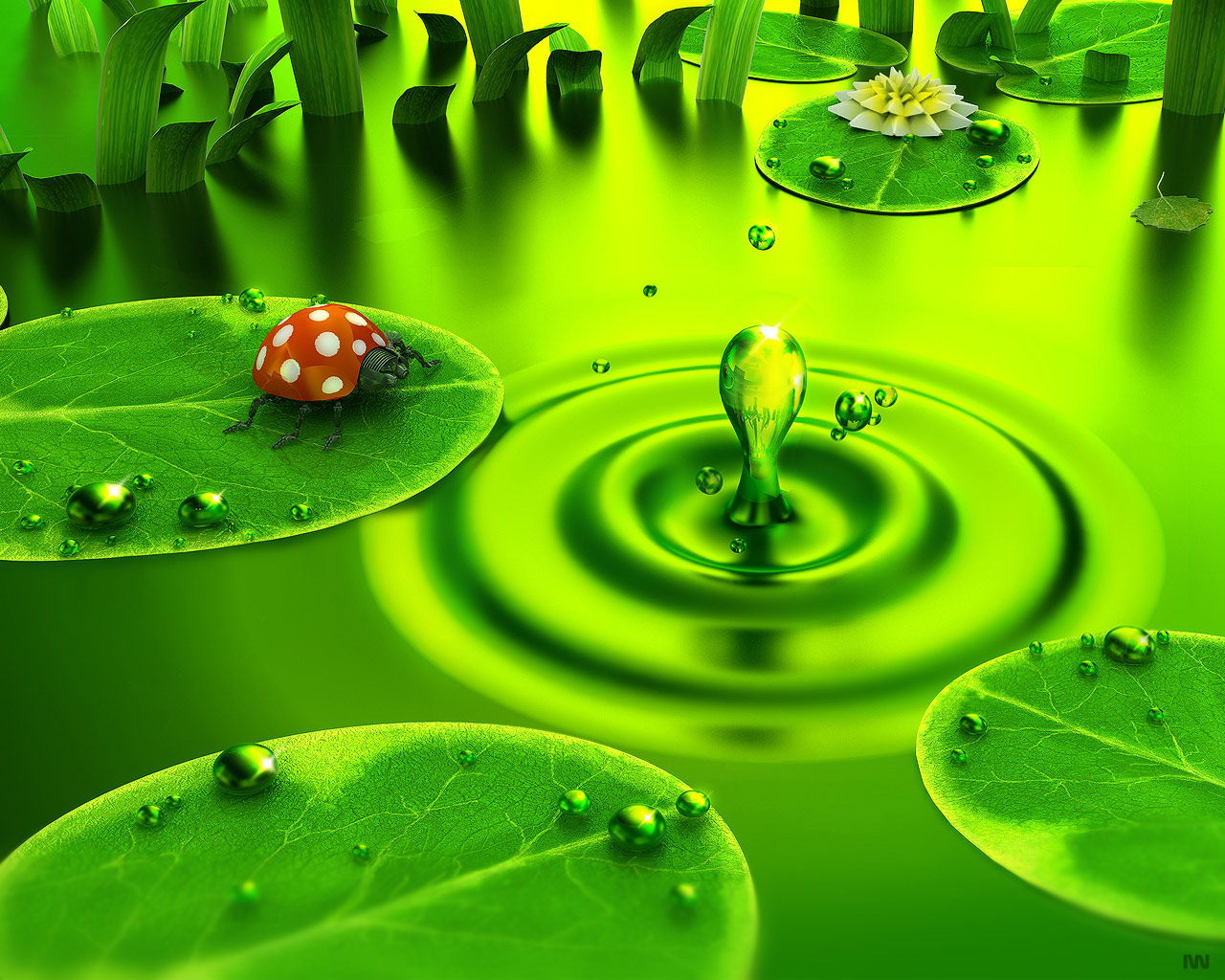 Fondo de pantalla mariquita cerca del agua