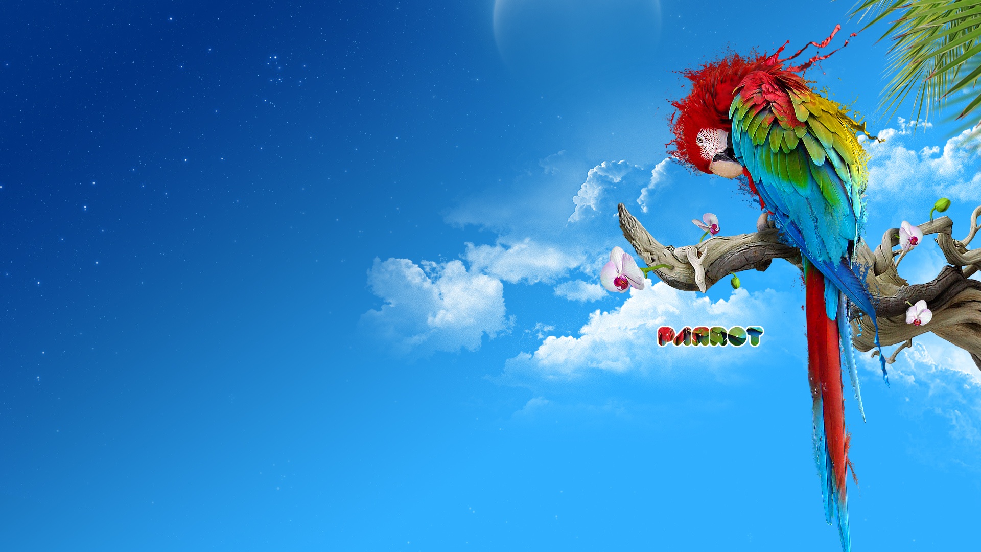 Fondo de Pantalla Papagayo
