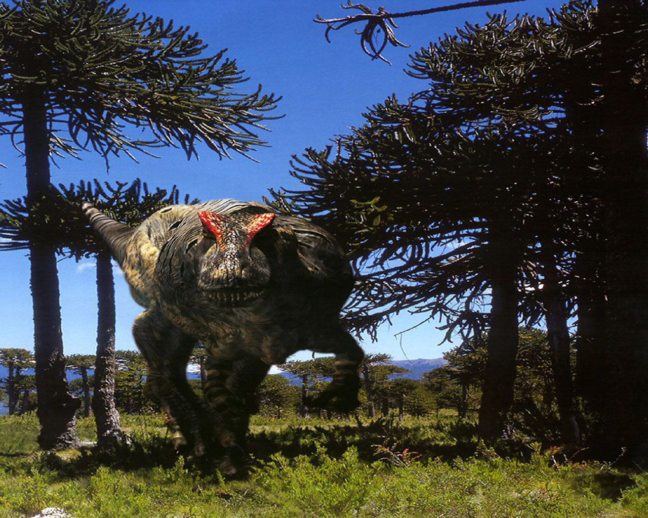 Fondo de pantalla tiranosaurio rex