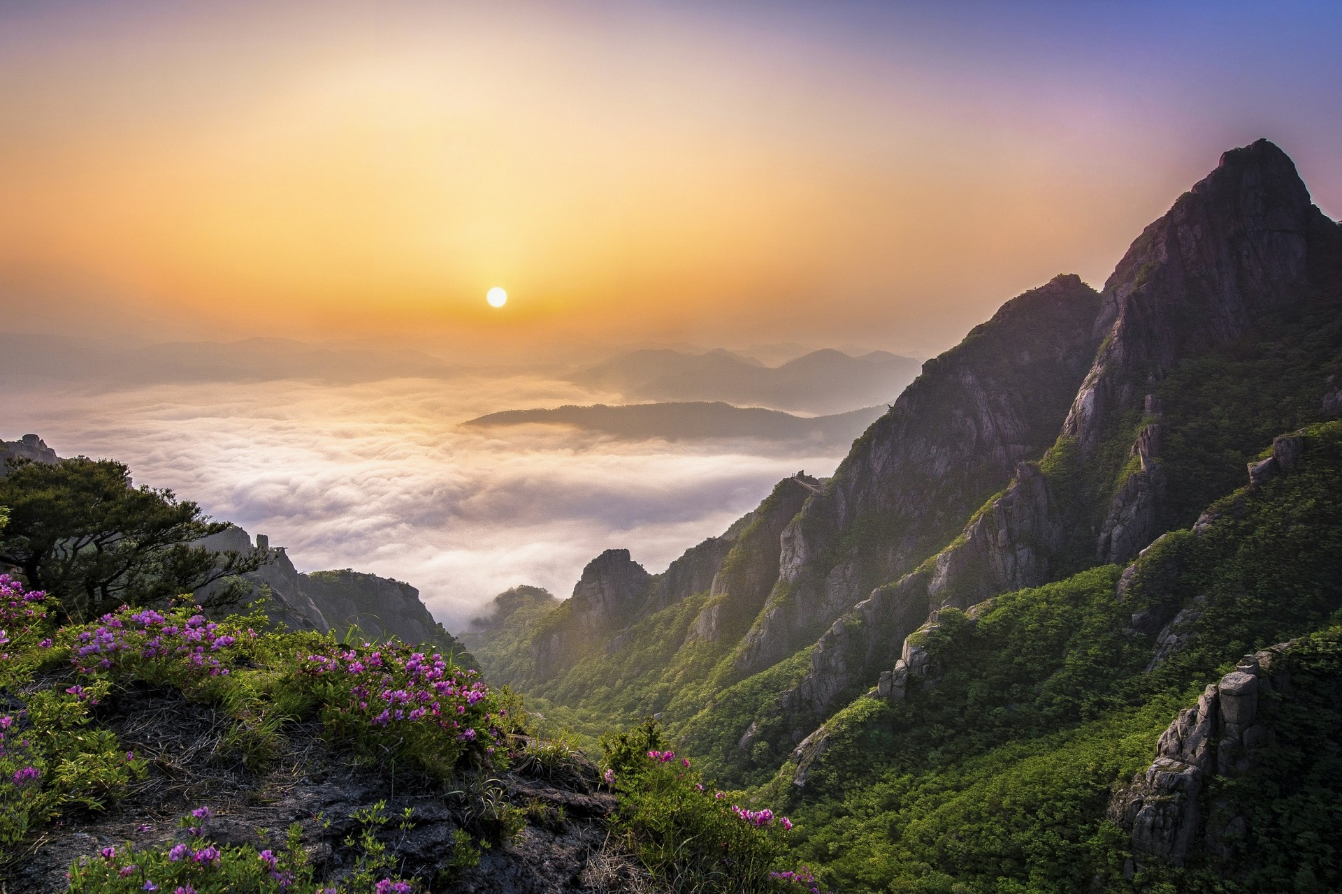 Fondo hd de hermoso paisaje
