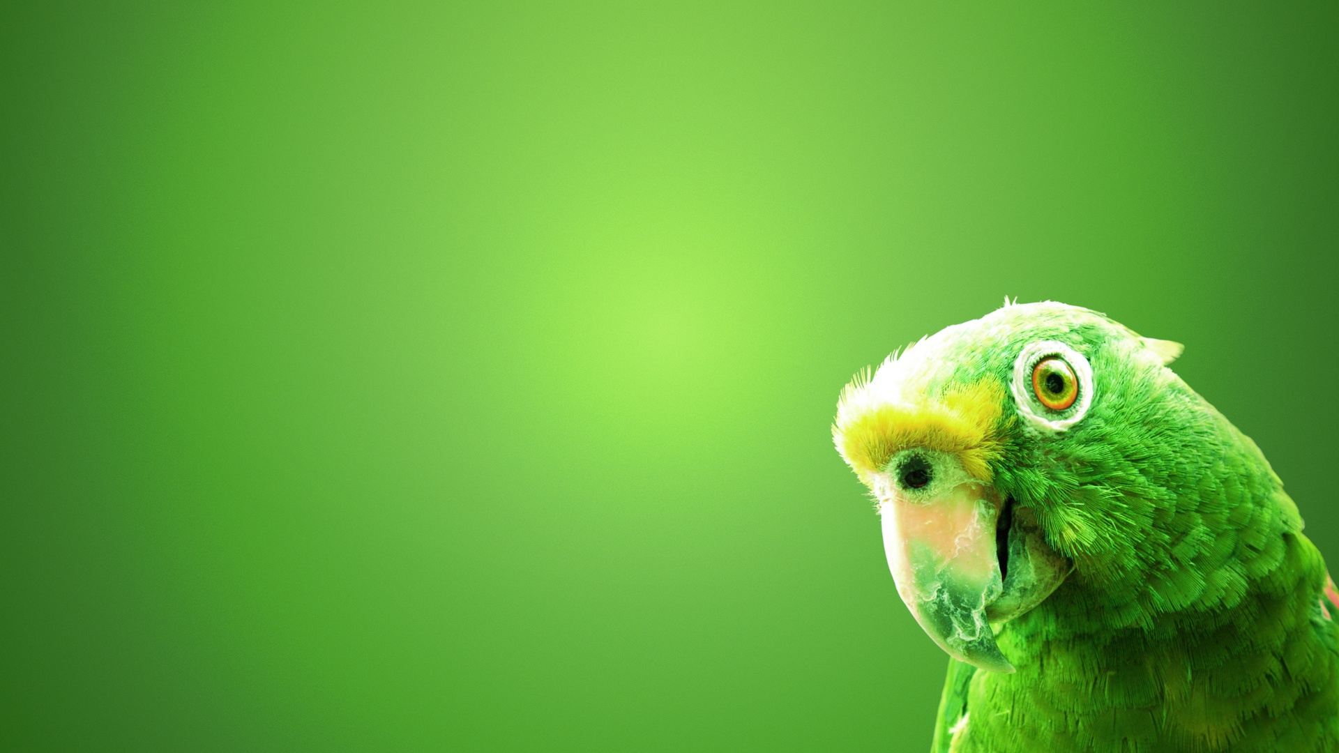 Fondo Loro Verde