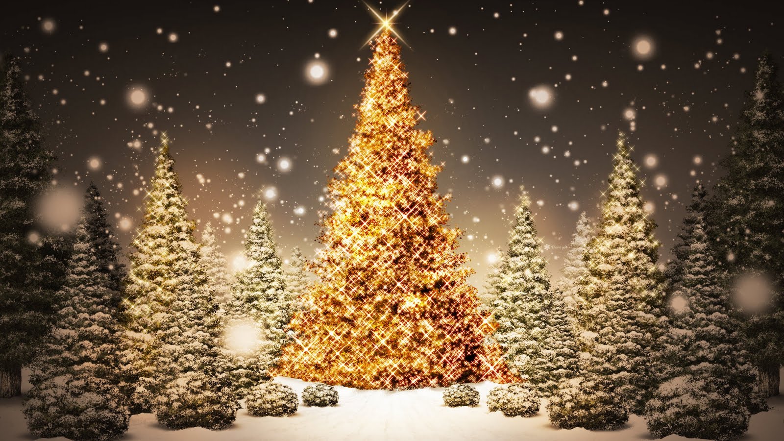 Fondos de Pantalla Arbolito de Navidad Con Estrella