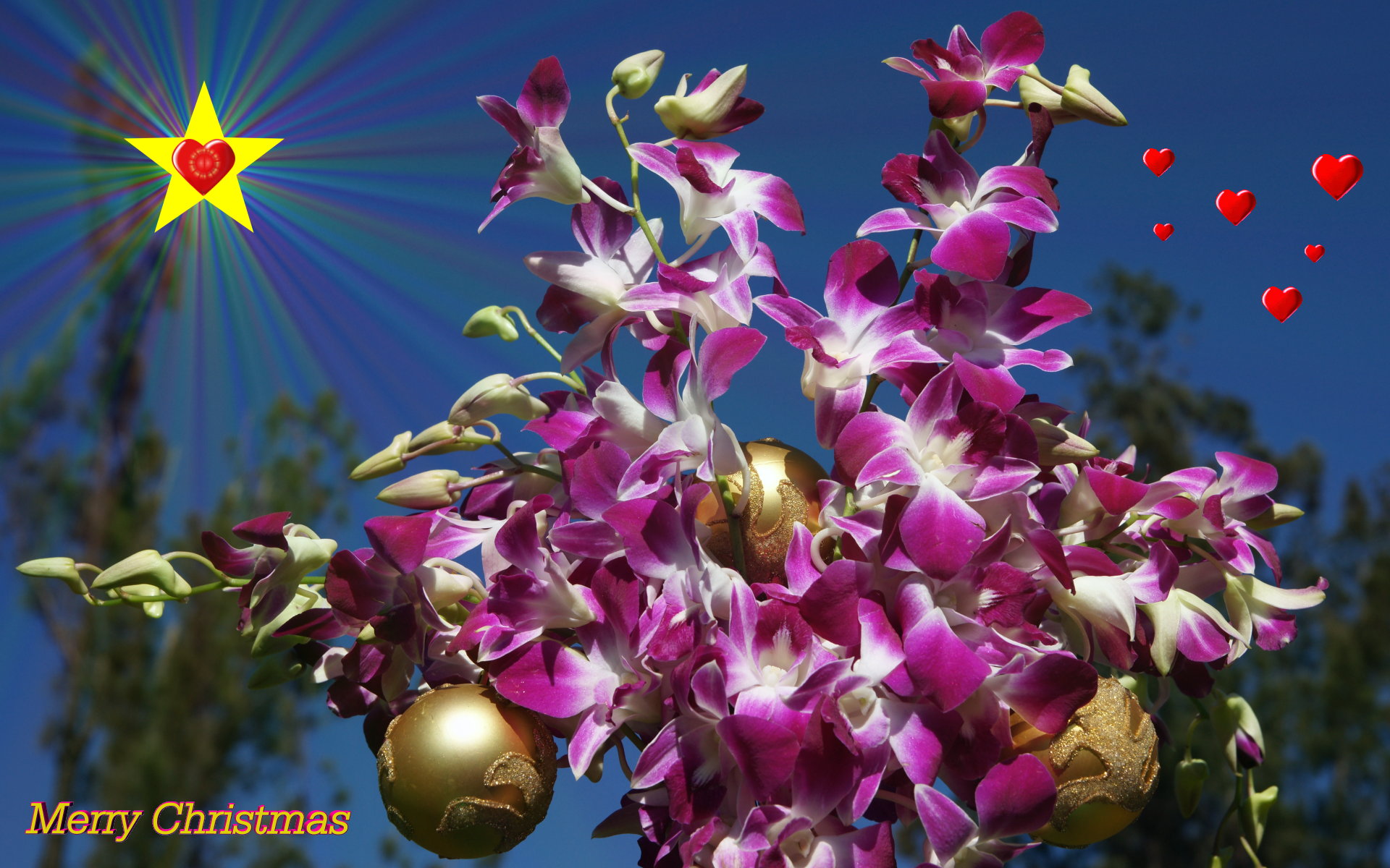 Fondos hd flores lilas con bolitas navideñas
