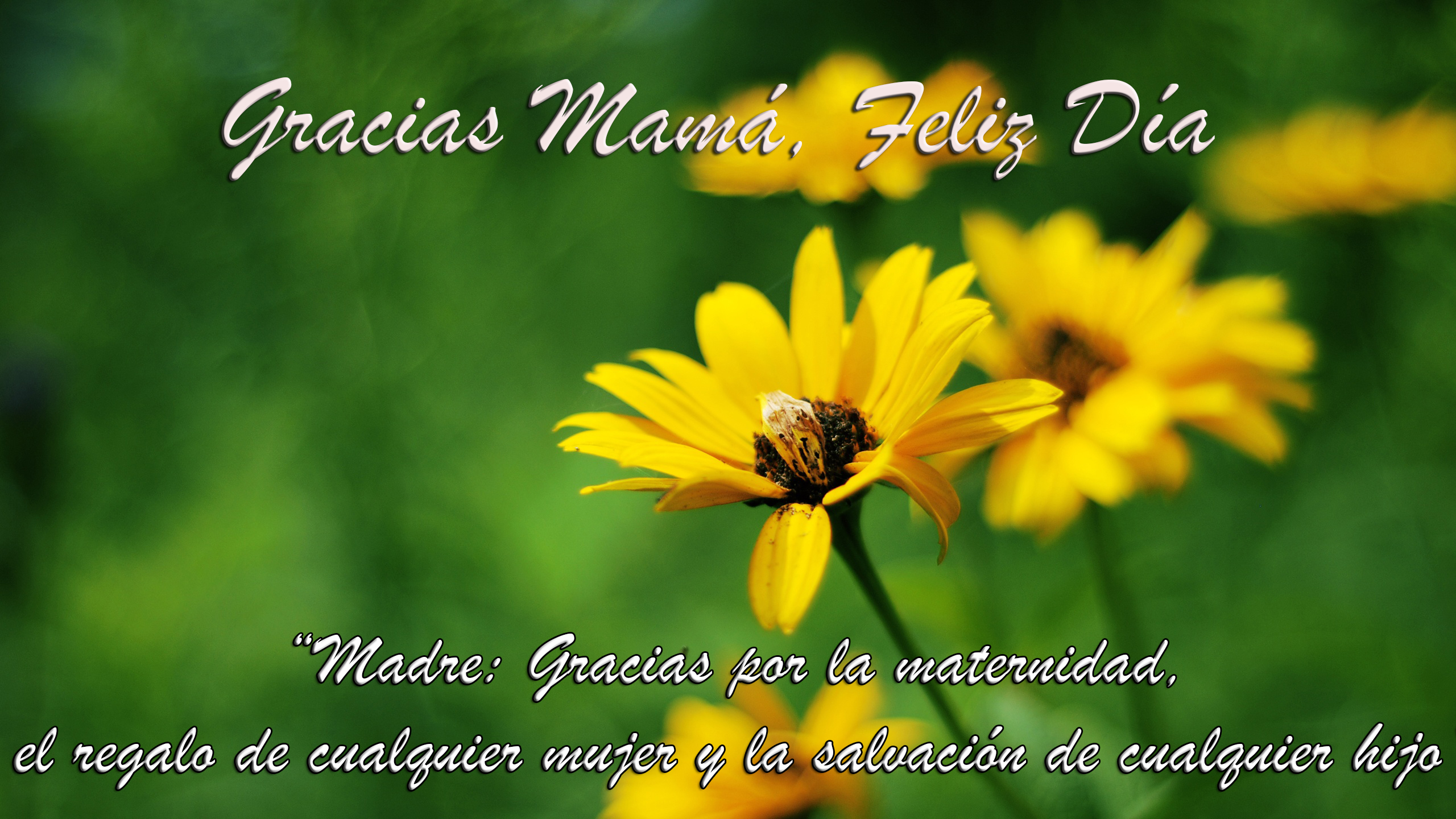 Gracias Mama