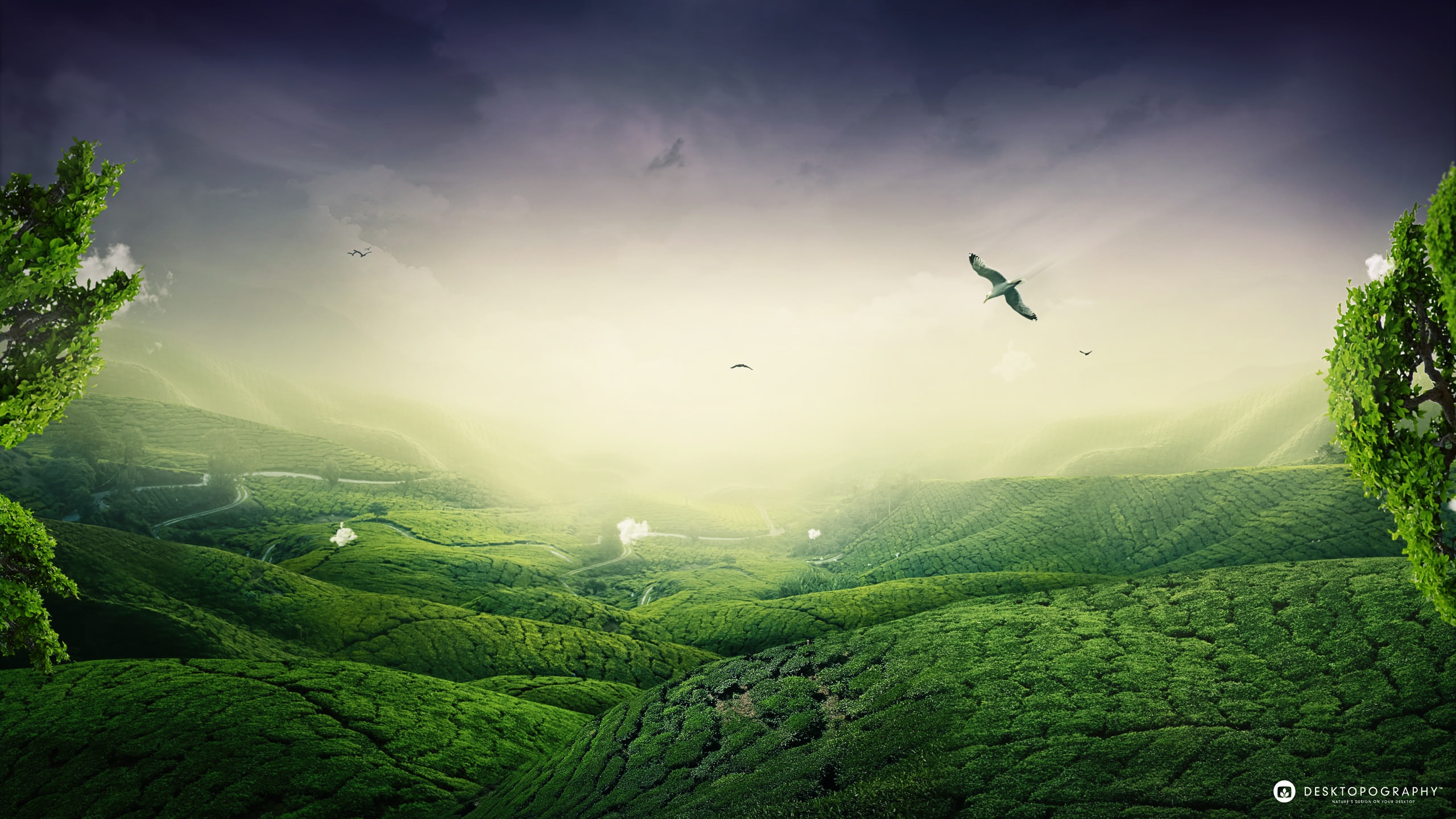 Green landscape