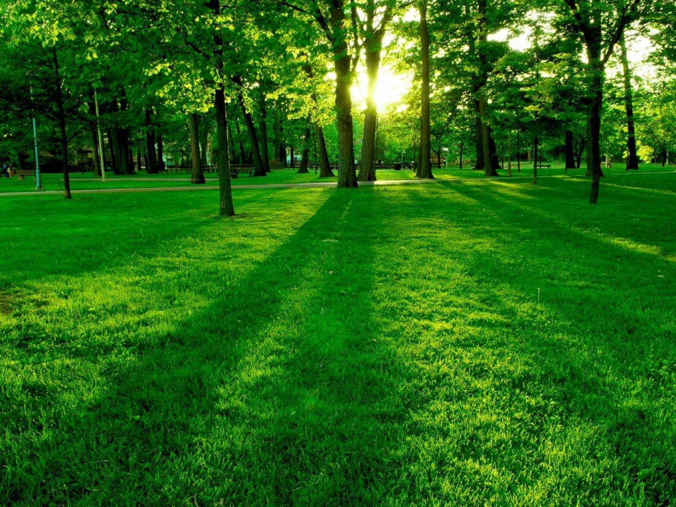Hermoso parque