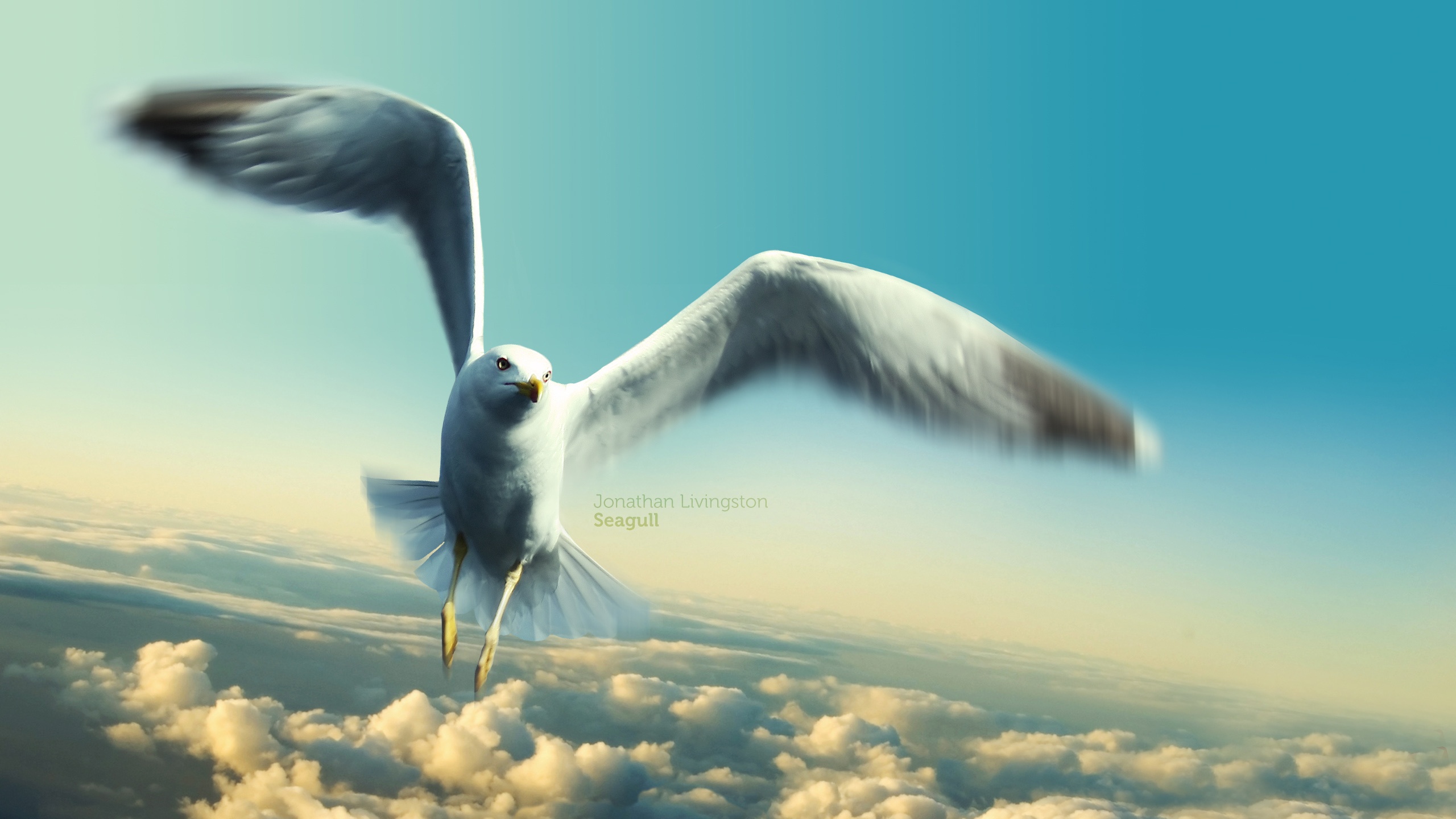 Jonathan livingston seagull