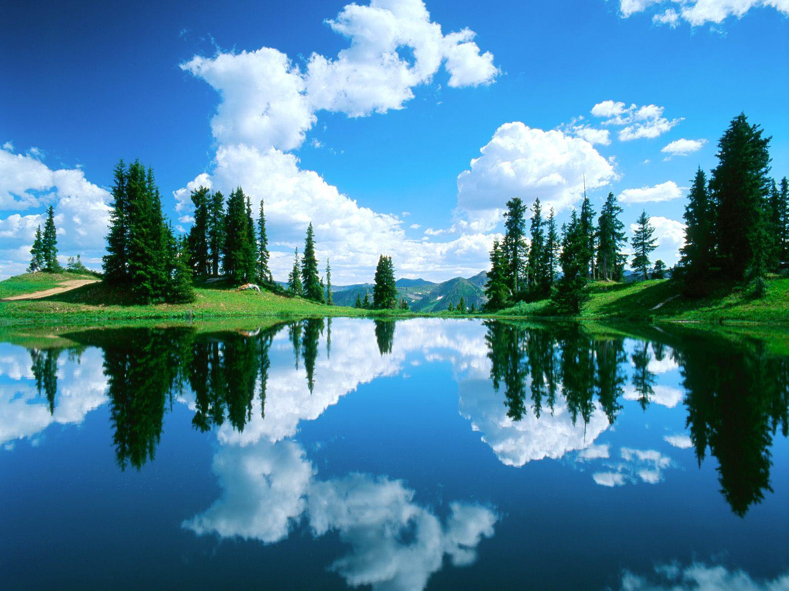 Laguna