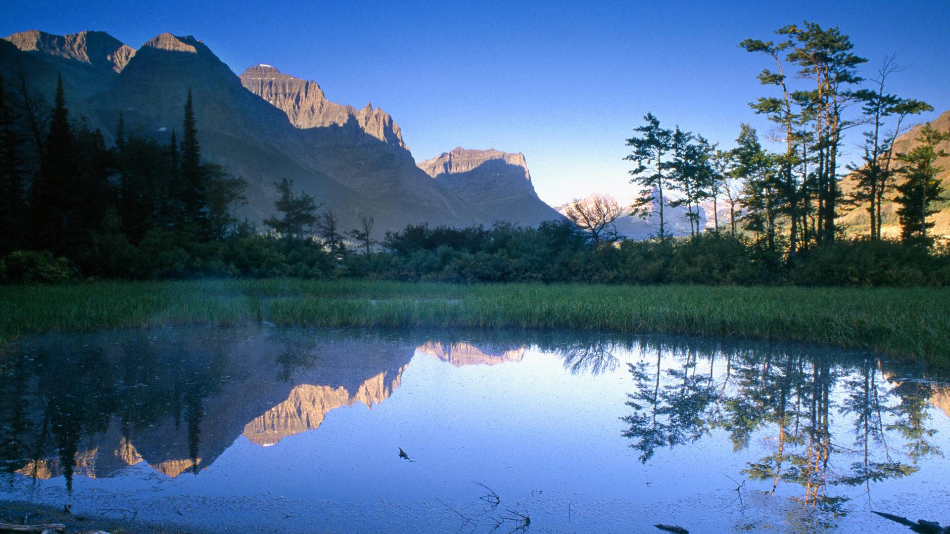 Laguna y arboles