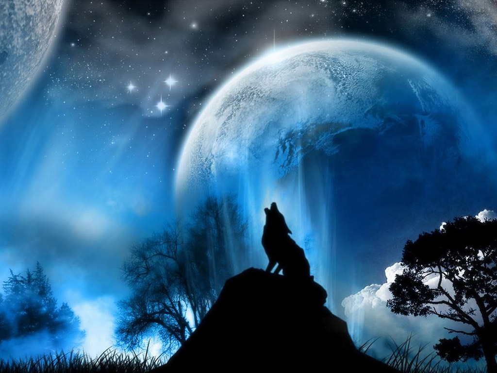 Lobo en luna llena