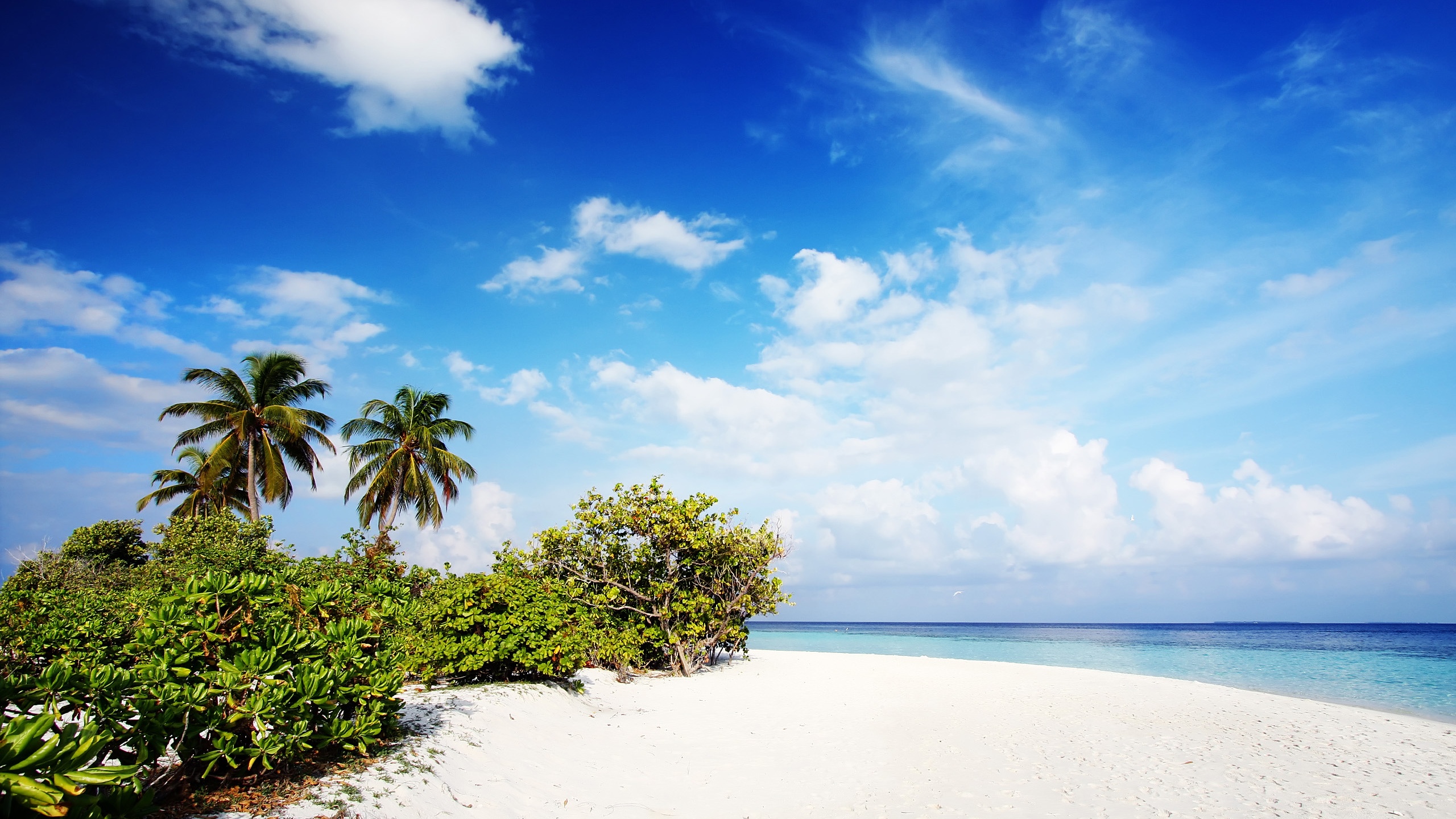 Nature beach