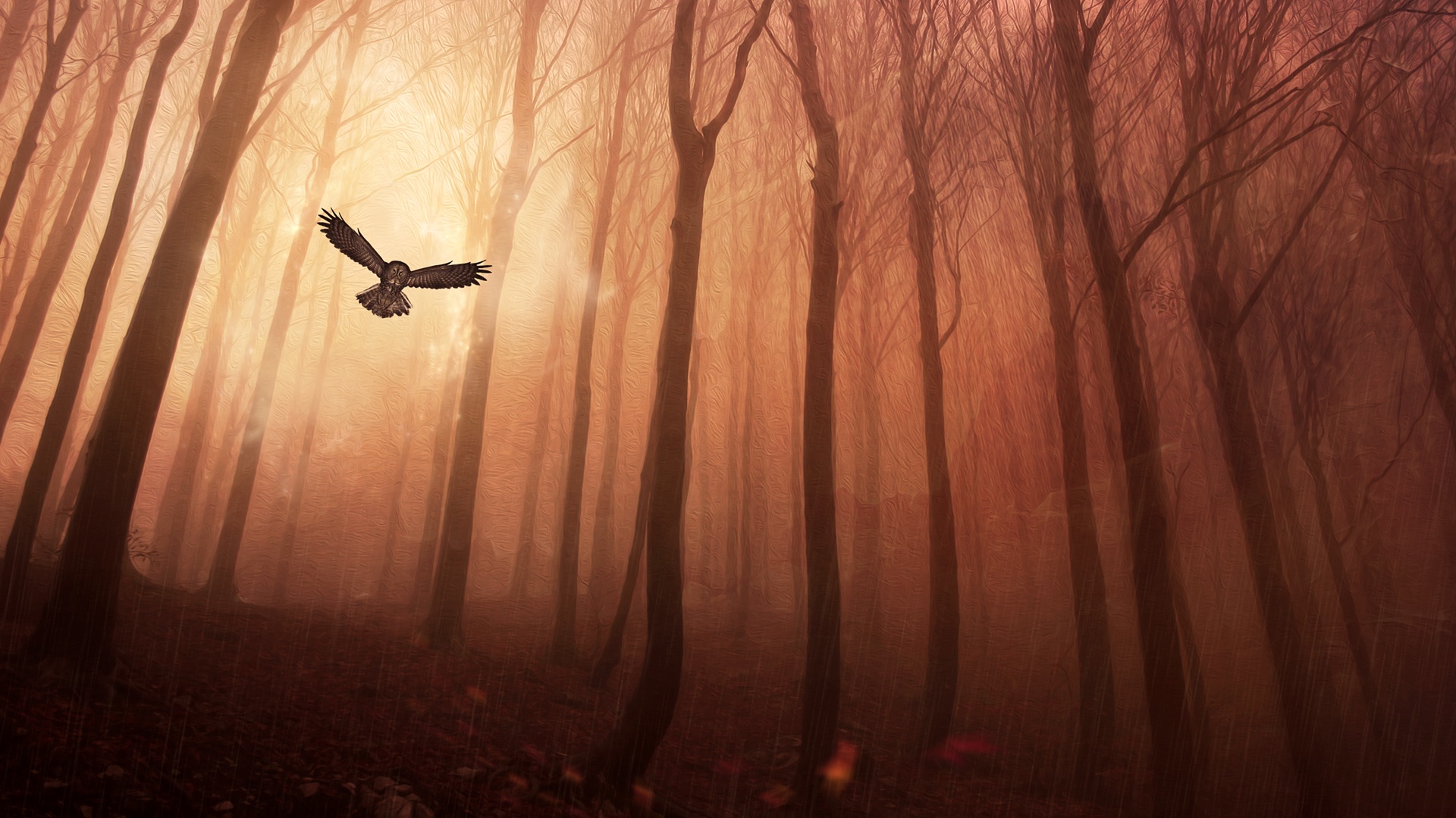 Owl forest