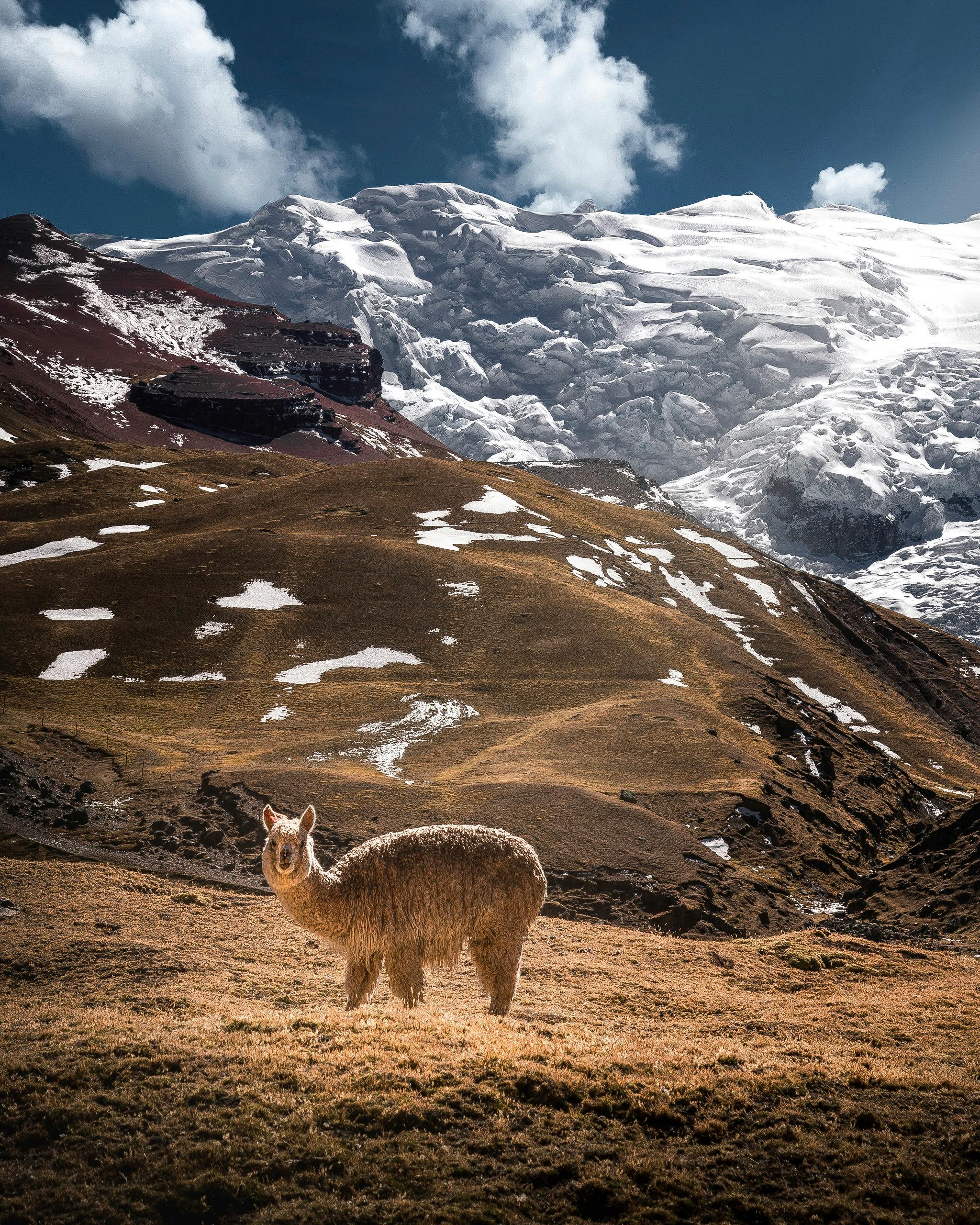 Fondo de Pantalla de pexels_2847475.jpg