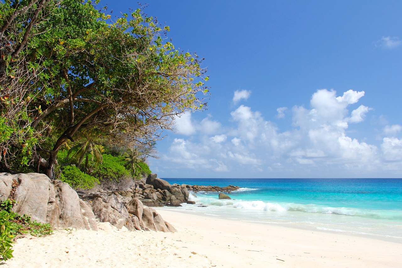 Fondo de Pantalla de pixabay_1028036.jpg