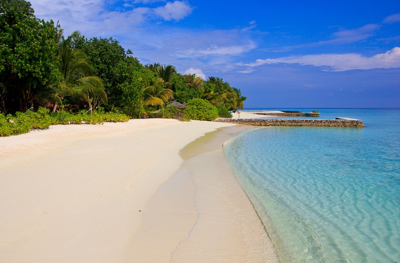 Fondo de Pantalla de pixabay_1044368.jpg