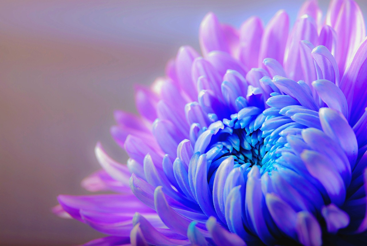 Fondo de Pantalla de pixabay_1332994.jpg