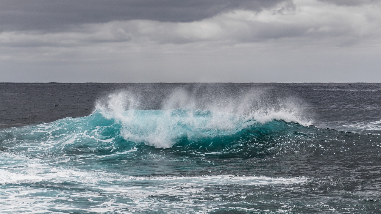 Fondo de Pantalla de pixabay_1555170.jpg