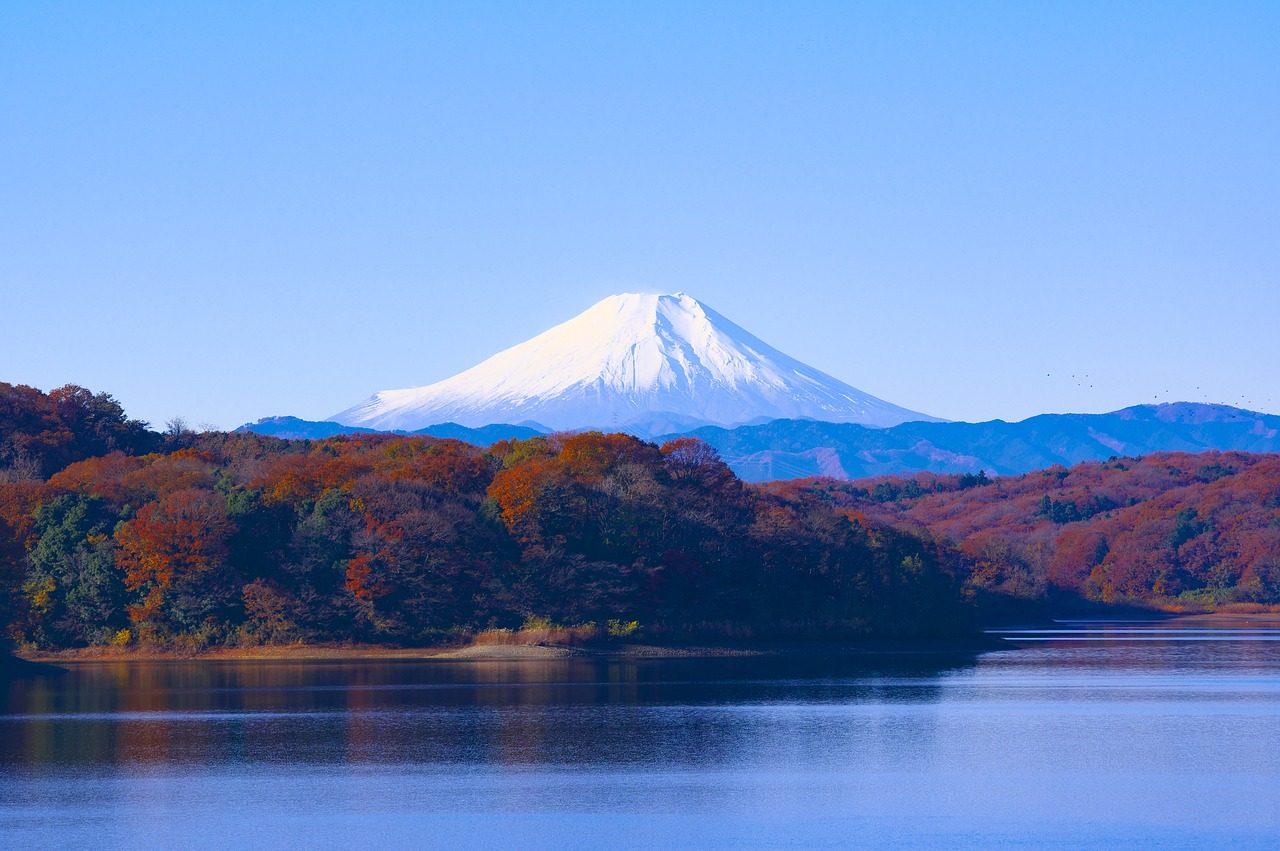 Fondo de Pantalla de pixabay_1706942.jpg