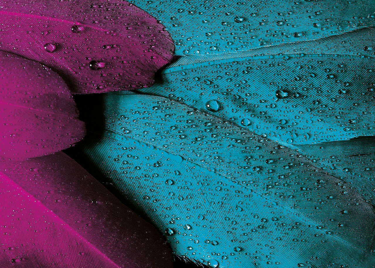 Fondo de Pantalla de pixabay_176723.jpg