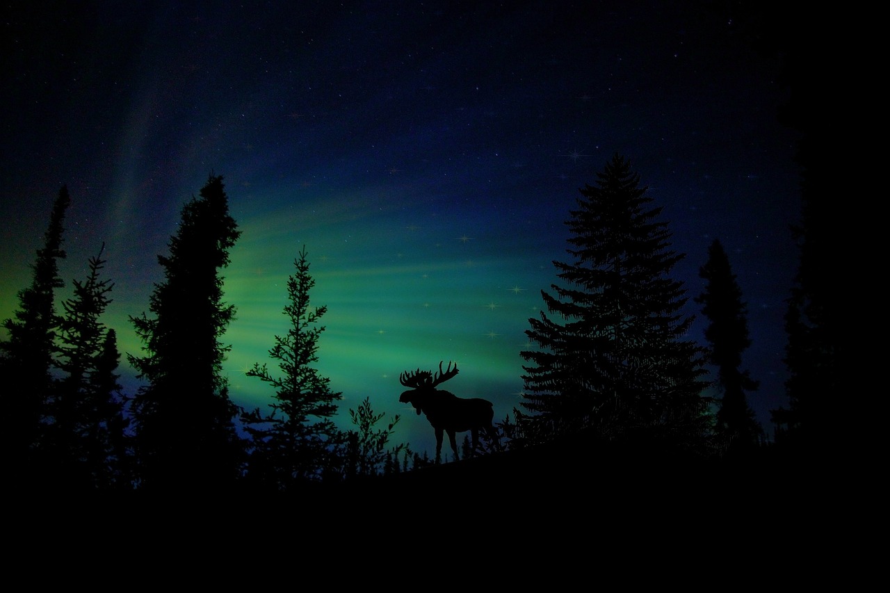 Fondo de Pantalla de pixabay_1793632.jpg