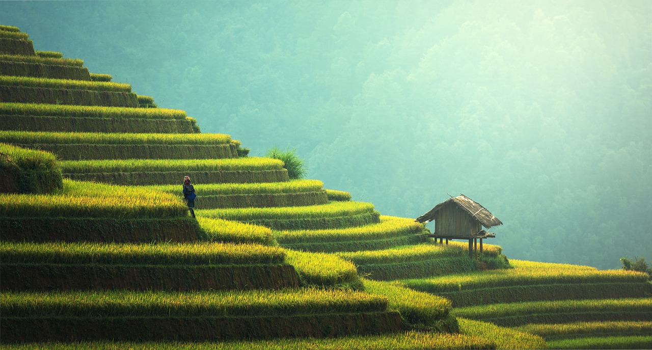 Fondo de Pantalla de pixabay_1807581.jpg