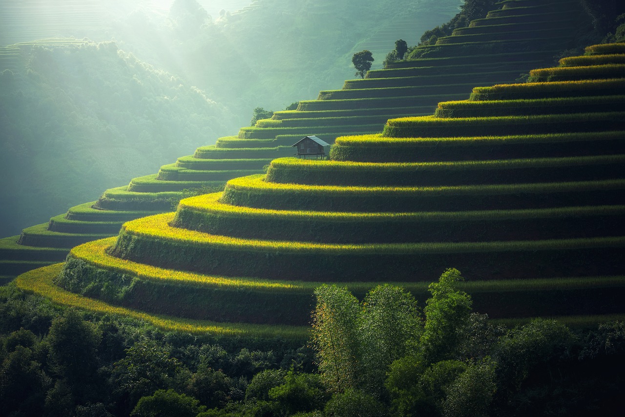Fondo de Pantalla de pixabay_1822444.jpg